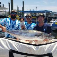 52.28 lbs.