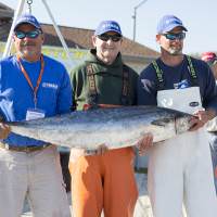 52.12 lbs.