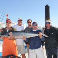 54.48 lbs.