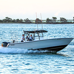 WINDY CONDITIONS photo