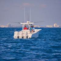 SEA DOG