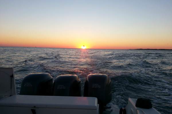 SEA DUB photo